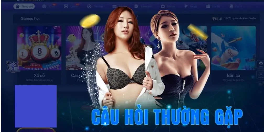 Các câu hỏi thường gặp