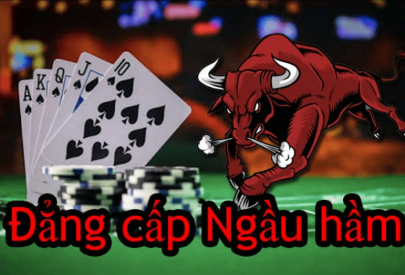 Cách đánh Ngầu hầm thắng đến 98%