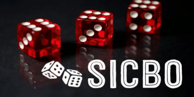 Cách bắt cầu Sicbo đơn giản và hiệu quả