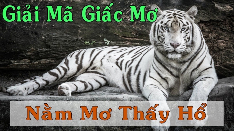 Nằm Mơ Thấy Hổ (Cọp) Mang Điềm Gì?
