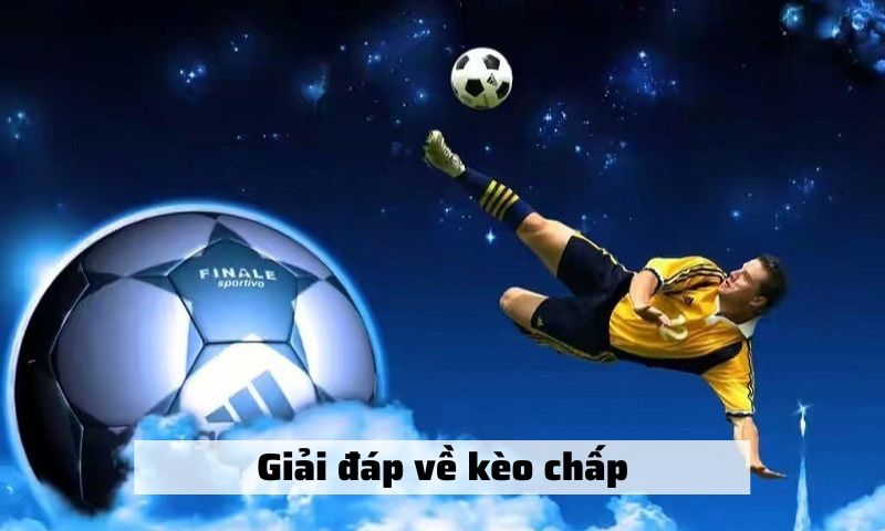 Xem Xét Đội Hình Ra Sân