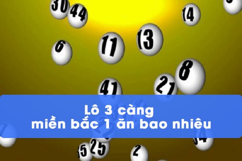 Lô 3 càng là lô như nào?