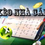 Tỷ lệ cược Indonesia là gì? Cách đặt cược Kèo Indo tại S666