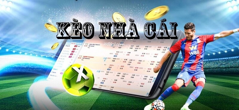 Hiểu rõ về Cá cược Bóng đá