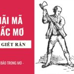 Nằm mơ thấy giết rắn là điềm báo lành hay dữ? Giải mã các con số