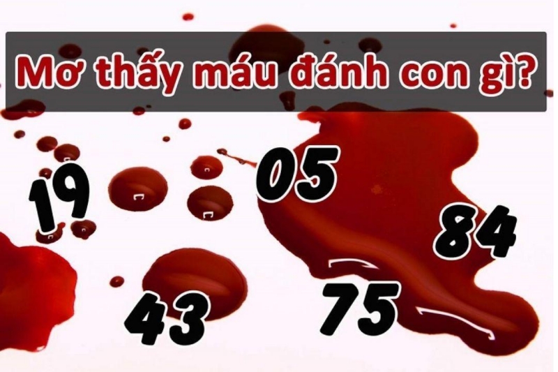 Tại sao lại mơ thấy máu?