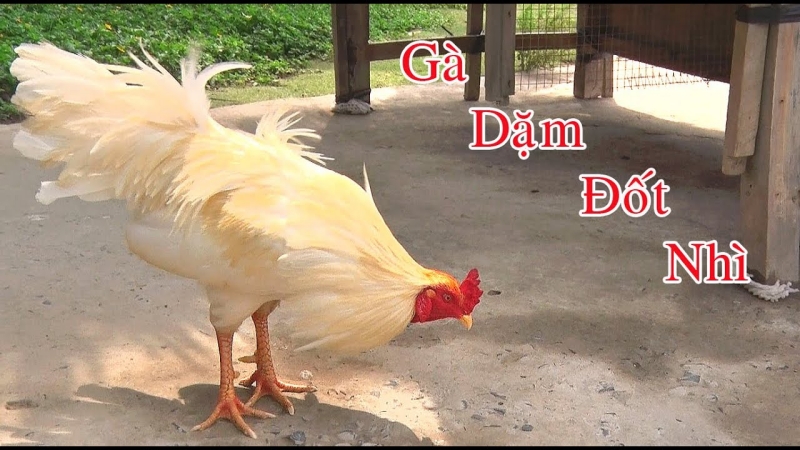 Vảy đại giáp, độc giáp, liên giáp
