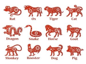 Xem Màu Mạng Gà Đá Hôm Nay