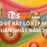 LÀM SAO ĐỂ BẮT LÔ KÉP MIỀN BẮC CHUẨN NHẤT NĂM 2023