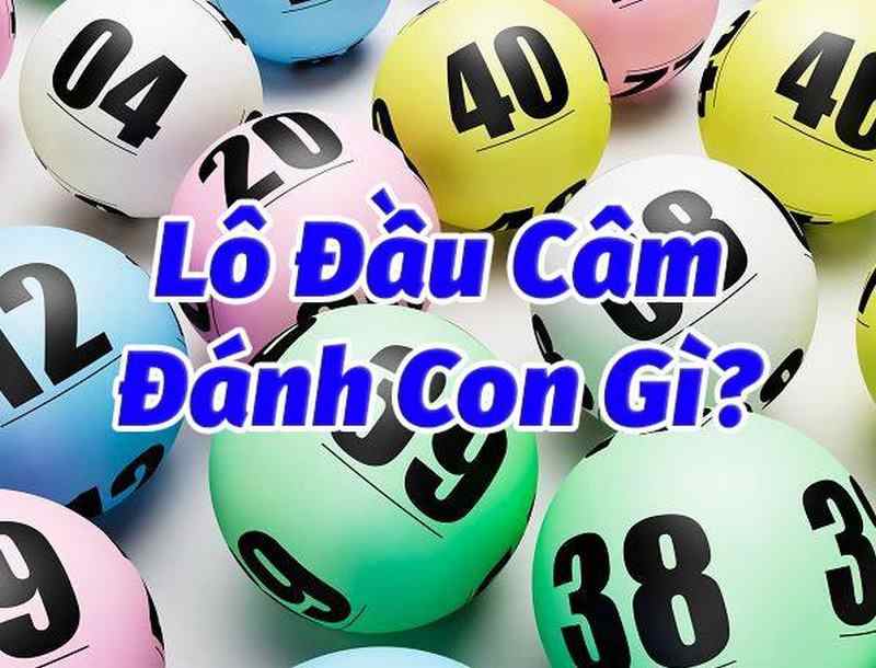Anh em có thể tham khảo nhiều cách đánh lô đầu hiện nay