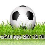 Kèo Tài Xỉu 5/5.5 là gì? Trình bày cách chơi Tài Xỉu 5.25 tại S666