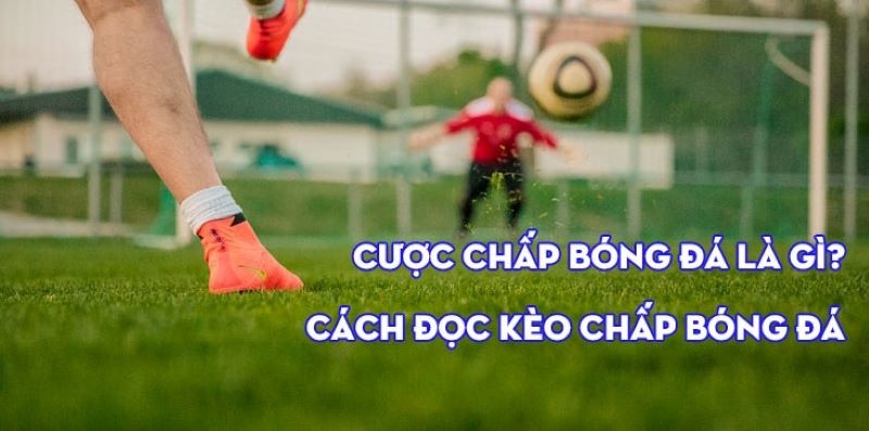 Hướng dẫn ​​chơi kèo chấp hòa được thua