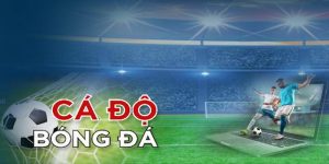 Tìm hiểu luật cá độ bóng đá ở Việt Nam – Cập nhật mới nhất 2023