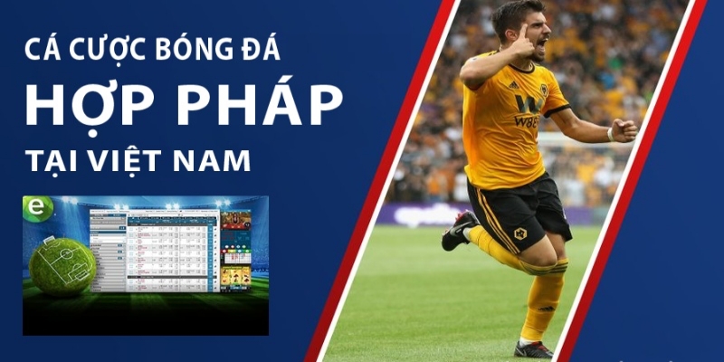 Người chơi thường gặp khó khăn gì khi muốn cá độ online?