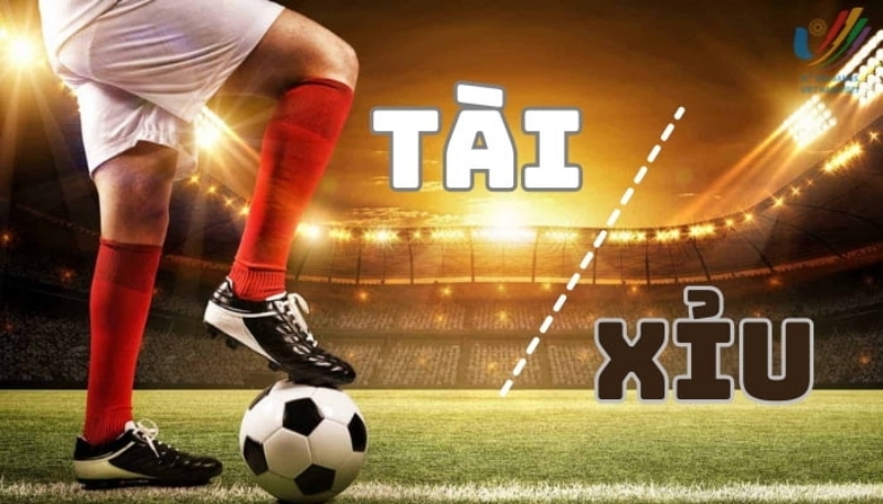 Có một số lời khuyên quan trọng để bạn cân nhắc: